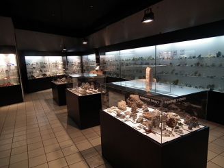 Музей естественной истории, Краков