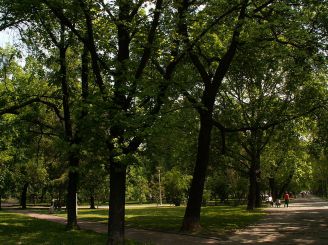 Шведский Парк, Краков
