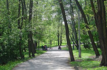 Park Solvay, Krakow