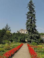 Ботанический сад, Краков