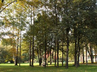 Вишнёвый сад (парк), Краков
