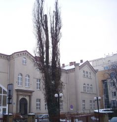 Synagogue in the Jewish Hospital, Krakow