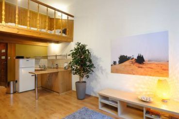 Duplex Apartment