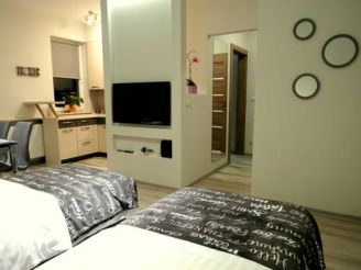 Two-Bedroom Apartment - 15A Leszczyńskiego Street