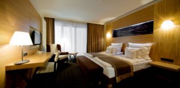 Double or Twin Room with Mountain View