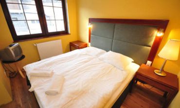 Двухместный номер с 1 кроватью или 2 отдельными кроватями и новогодним пакетом услуг